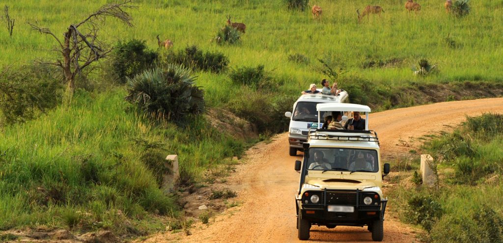4x4-safari-cars-tour-in-uganda